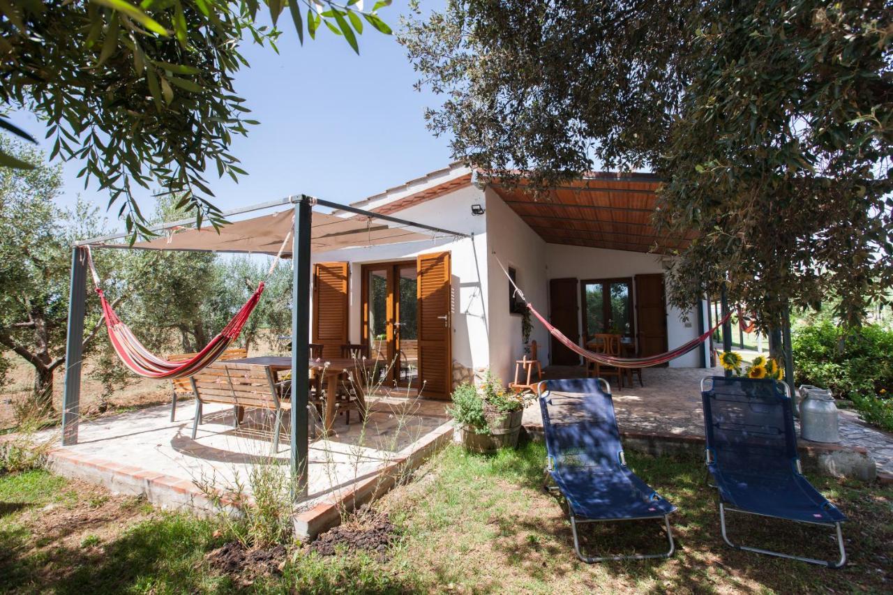 Agriturismo Fontetrilla Ορμπετέλλο Εξωτερικό φωτογραφία