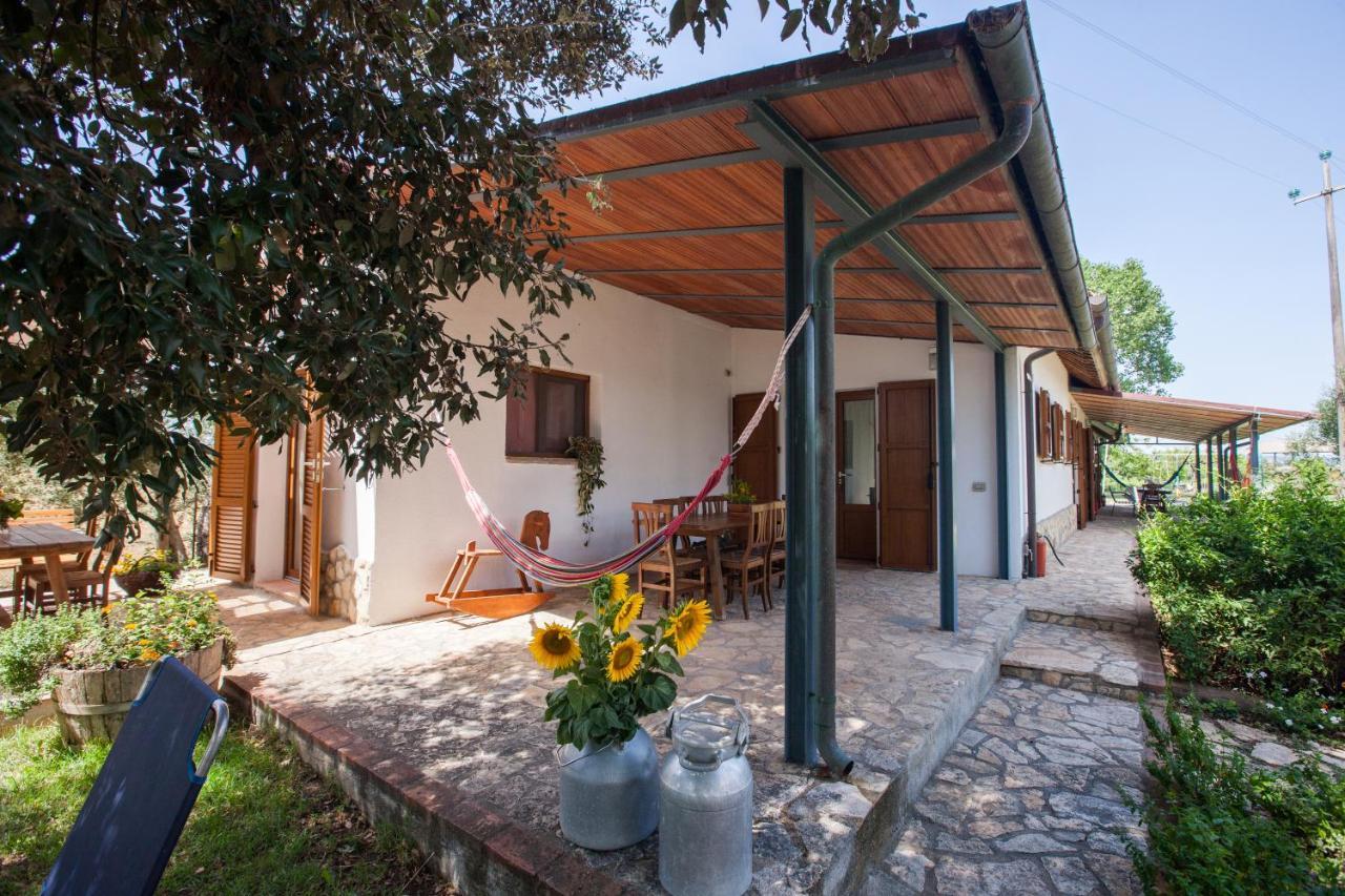 Agriturismo Fontetrilla Ορμπετέλλο Εξωτερικό φωτογραφία