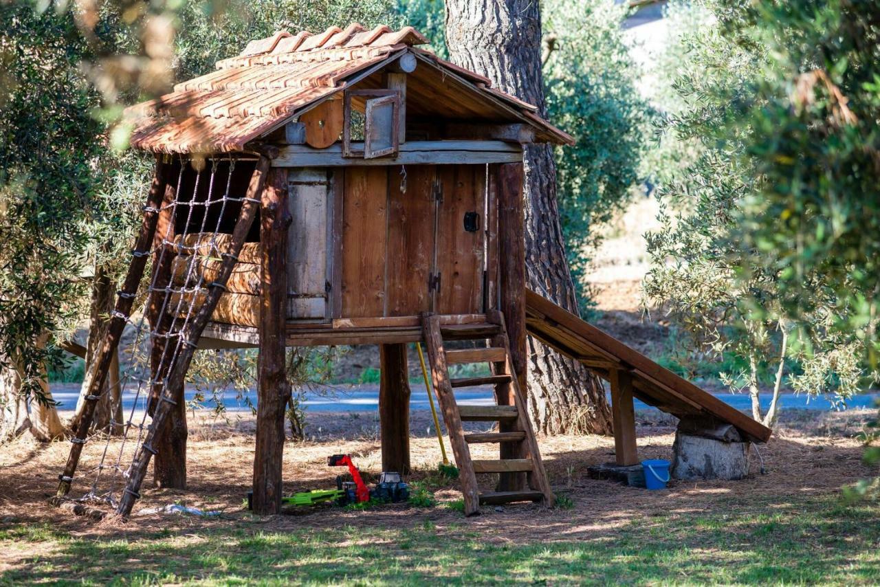 Agriturismo Fontetrilla Ορμπετέλλο Εξωτερικό φωτογραφία